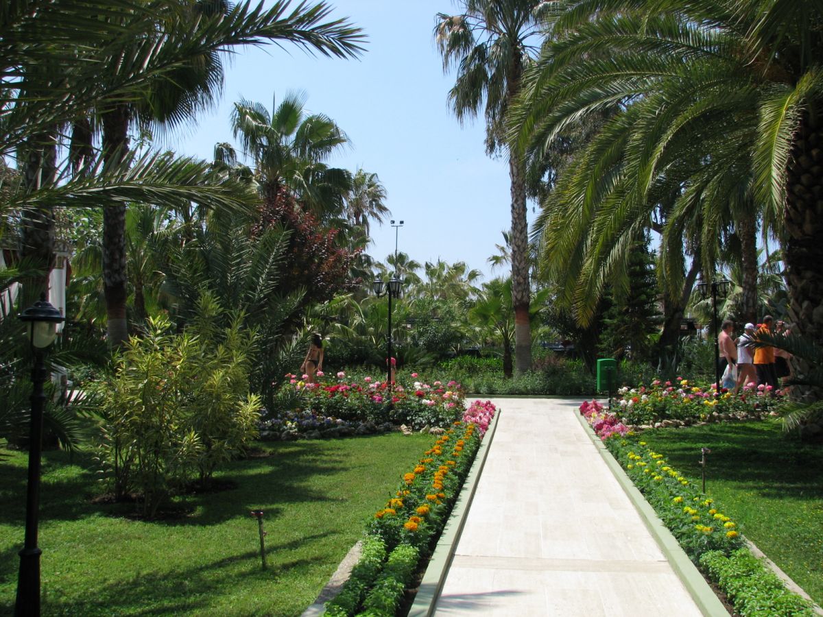 imagini hotel DELPHIN BOTANIK